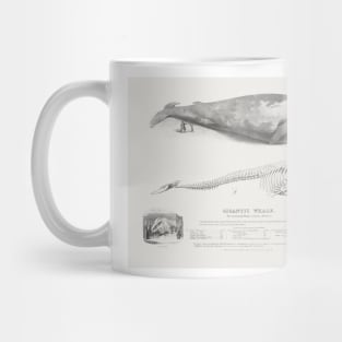 The Greenland Whale, Blue Whale by George Johann Scharf Mug